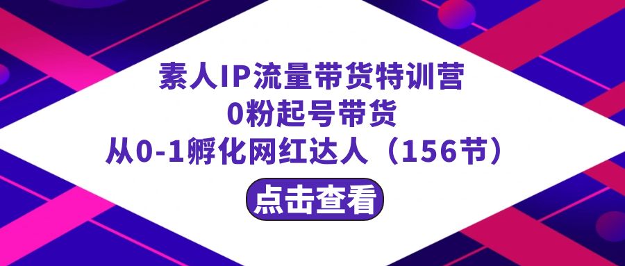 繁星·计划素人IP流量带货特训营:0粉起号带货 从0-1孵化网红达人(156节)