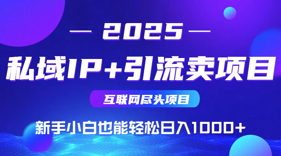 （15532期）2025网创尽头项目，私域IP+引流，新手小白也能在家日入1000+